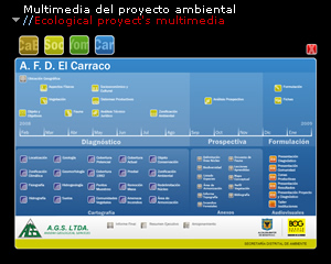 Proyecto ambiental // Ecological proyect