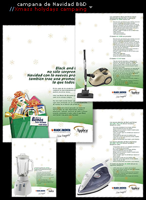 Volantes y carpeta de campana // folder and flyers for campaing