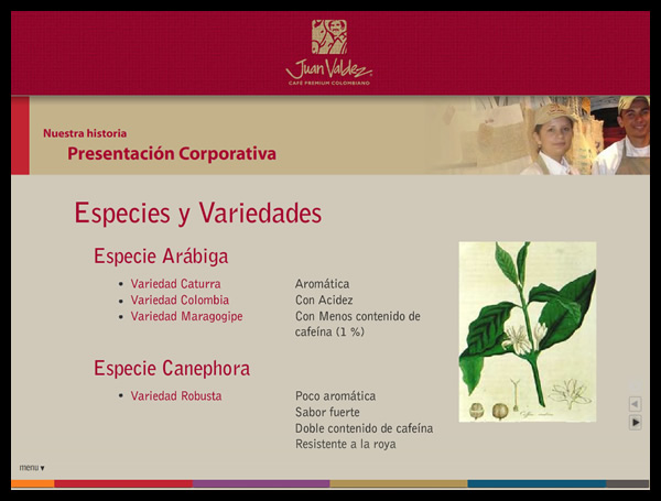 Presentación de plan de mercadeo de la marca // Brand Merchandising plan presentation