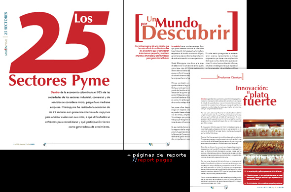 páginas del reporte//report pages